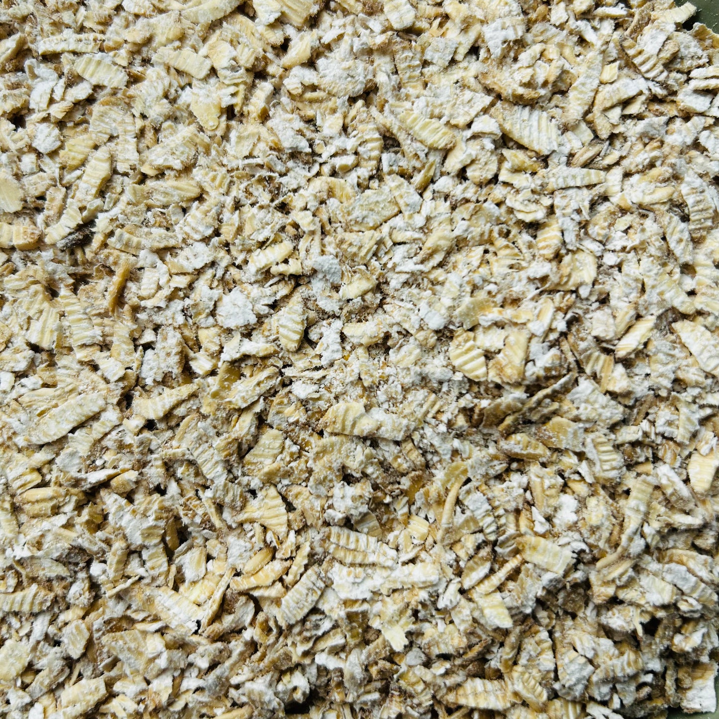 300g Organic Sprouted Oats