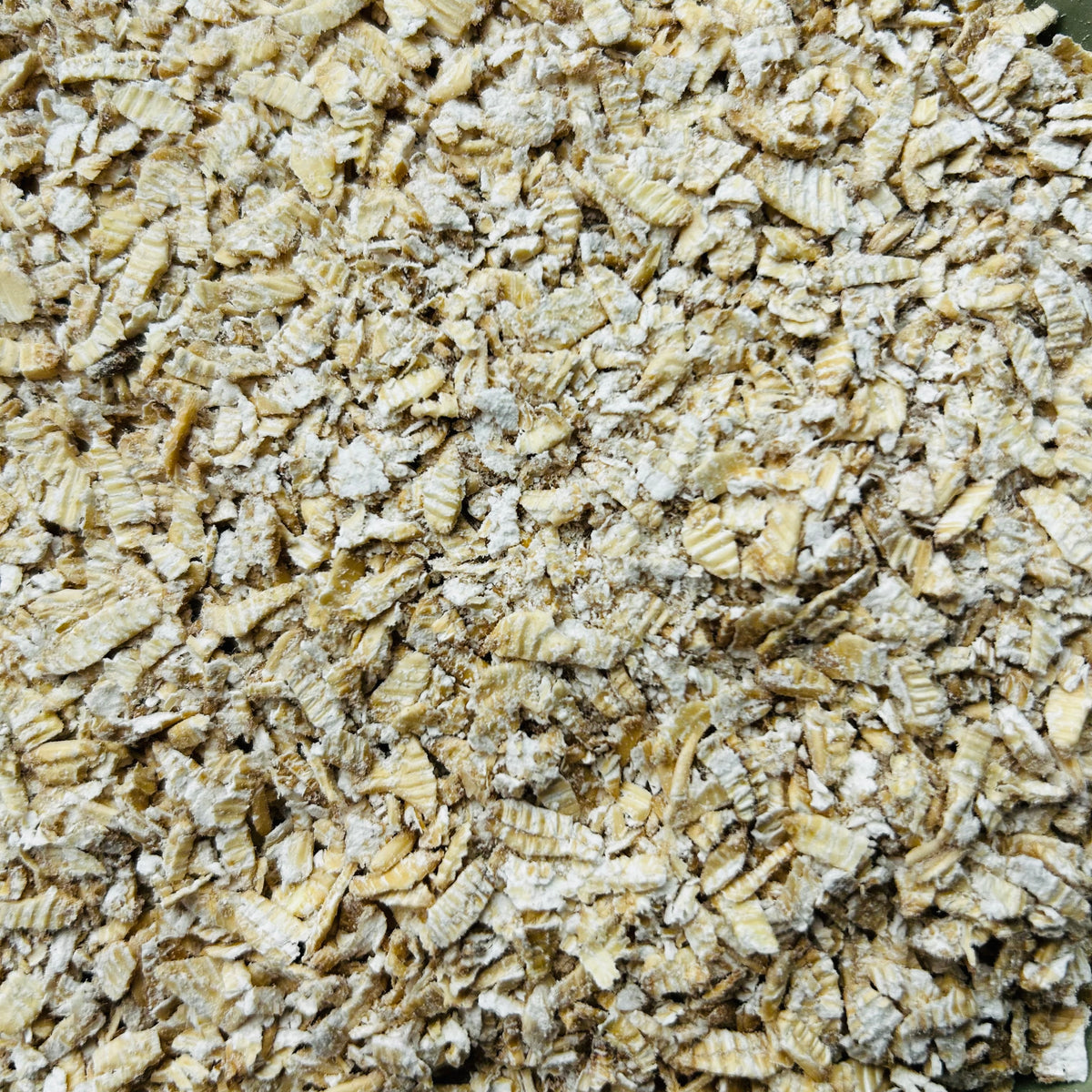 Close-up of organic sprouted rolled oats